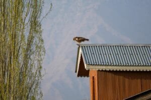 Aménager ou Rénover une Toiture