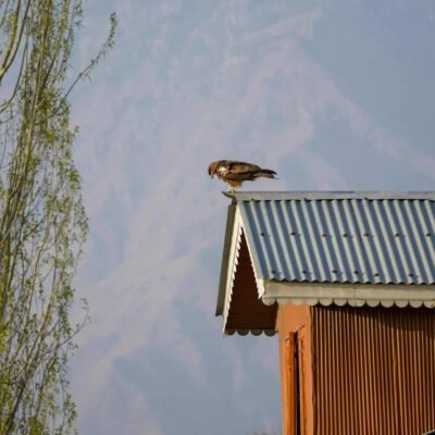 Aménager ou Rénover une Toiture